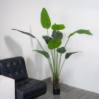 6ft Faux Potted Bird of Paradise Plant - Bring Tropical Vibes to Your Space