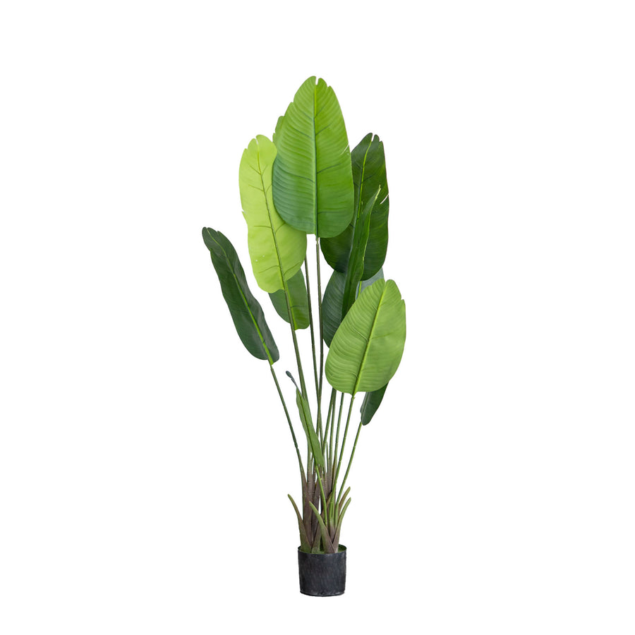 2 Pack | 5ft Faux Potted Bird of Paradise Plant