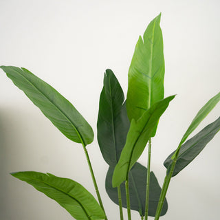 Create a Serene and Lush Atmosphere with the 2 Pack | 5ft Faux Potted Bird of Paradise Plant
