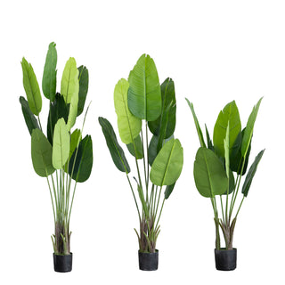 Enhance Your Space with the 2 Pack | 5ft Faux Potted Bird of Paradise Plant