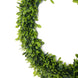 2 Pack | 21inch Green Artificial Lifelike Boxwood Leaf Spring Wreaths#whtbkgd