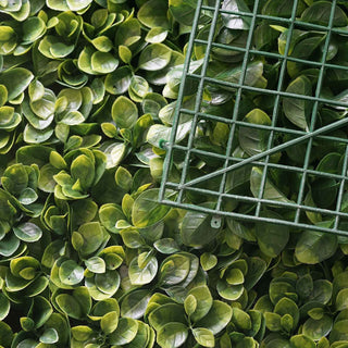 Versatile and Durable Green Boxwood Hedge Panels