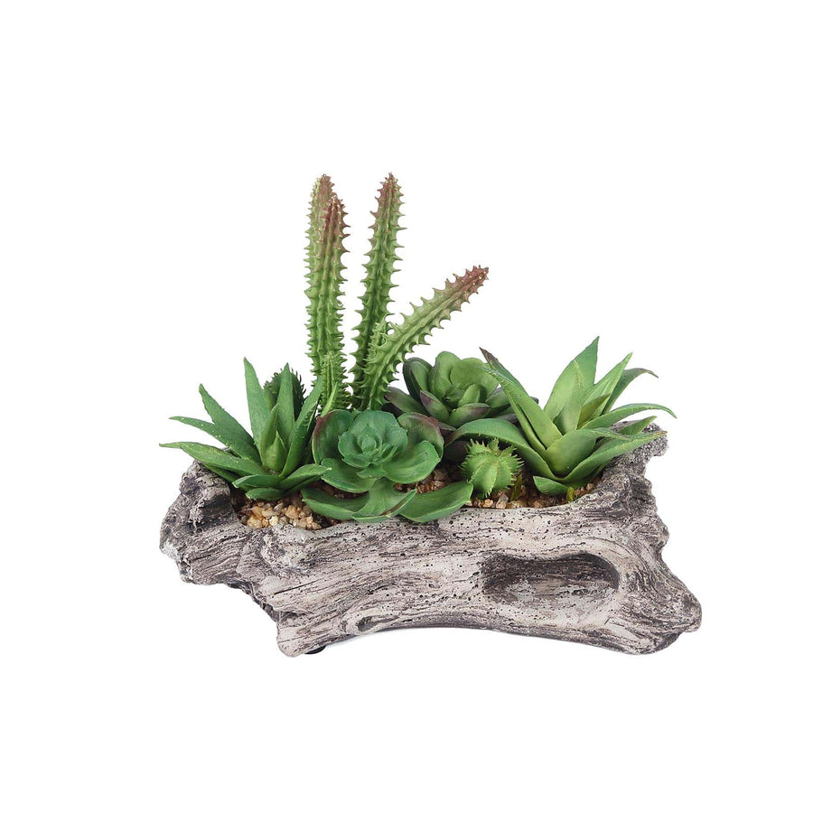 7inches Long Natural Artificial Log Planter & 15 Assorted Succulent Plants