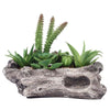 7inches Long Natural Artificial Log Planter & 15 Assorted Succulent Plants#whtbkgd