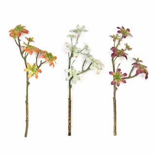 Elevate Your Event Decor with Artificial Succulent Air Plants