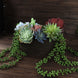 2 Pack | 23inch Artificial Succulents Hanging Plants, Faux String Of Pearls