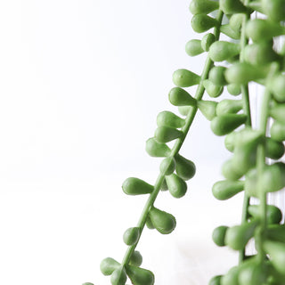 Elevate Your Event Decor with Artificial Succulents Hanging Plants
