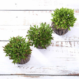 Add a Rustic Touch with the 3 Pack | 6" Artificial Stump Planter Pot