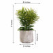 3 Pack | 8inches Ceramic Planter Pot & Artificial Crassula Succulent Plants