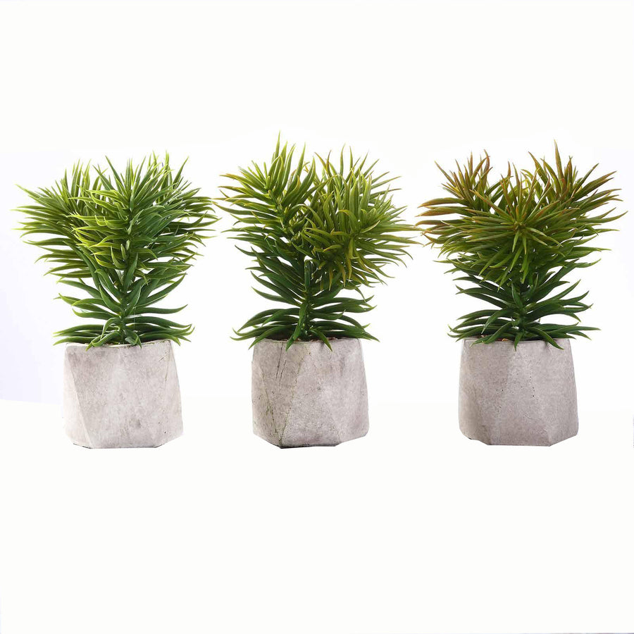 3 Pack | 8inches Ceramic Planter Pot & Artificial Crassula Succulent Plants#whtbkgd