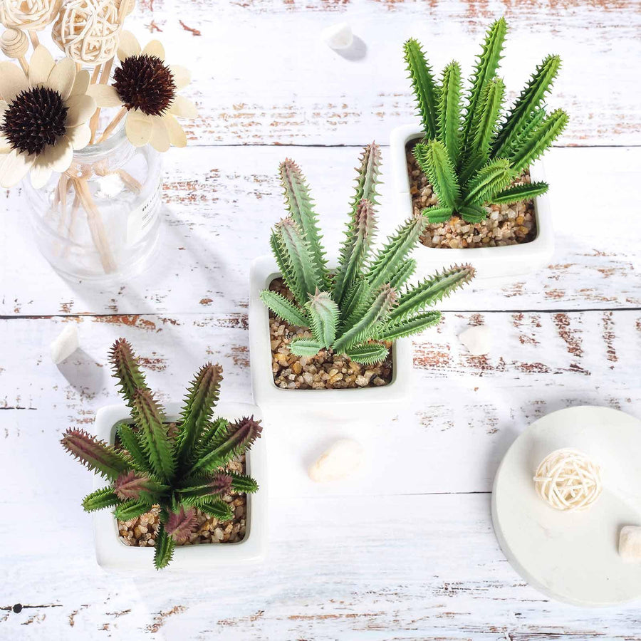 3 Pack | 7inches Ceramic Planter Pot & Artificial Cacti Succulent Plants