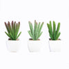 3 Pack | 7inches Ceramic Planter Pot & Artificial Cacti Succulent Plants#whtbkgd