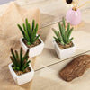 3 Pack | 7inches Ceramic Planter Pot & Artificial Cacti Succulent Plants
