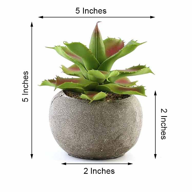 3 Pack | 5inches Ceramic Planter Pot & Artificial Aloe Succulent Plants