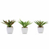 3 Pack | 5inches Ceramic Planter Pot & Artificial Spot Aloe Succulent Plant#whtbkgd
