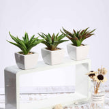 3 Pack | 5inches Ceramic Planter Pot & Artificial Spot Aloe Succulent Plant