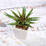 3 Pack | 5inches Ceramic Planter Pot & Artificial Spot Aloe Succulent Plant