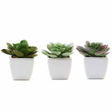 3 Pack | 4inches Ceramic Planter Pot & Artificial Echeveria Succulent Plant#whtbkgd