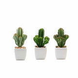3 Pack | 5inches Ceramic Planter Pot & Artificial Cacti Succulent Plants#whtbkgd