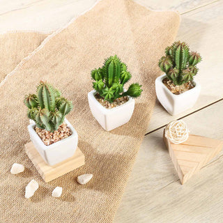 Stylish and Versatile 3 Pack | 5" Ceramic Planter Pot in Natural Earthy Tones