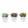 3 Pack | 4inches Ceramic Planter Pot & Artificial Echeveria Elegans Plants#whtbkgd