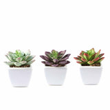 3 Pack | 4inches Ceramic Planter Pot & Artificial Echeveria Elegans Plants#whtbkgd