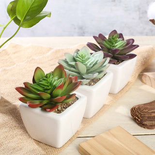 Elegant White Ceramic Planter Pot for a Refreshingly Modern Look
