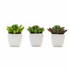 3 Pack | 4inches Ceramic Planter Pot & Artificial Lotus Succulent Plants#whtbkgd