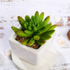 3 Pack | 4inches Ceramic Planter Pot & Artificial Lotus Succulent Plants