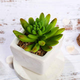 3 Pack | 4inches Ceramic Planter Pot & Artificial Lotus Succulent Plants
