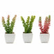 3 Pack | 8inches Ceramic Planter Pot & Artificial Sedum Succulent Plants#whtbkgd
