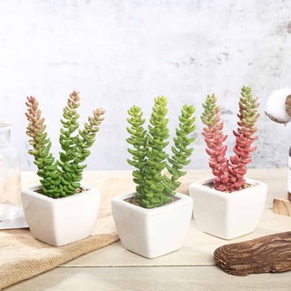 Modern White Ceramic Planter Pot and Artificial Sedum Succulent Plants