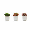 3 Pack | 3inches Ceramic Planter Pot & Artificial Echeveria Elegans Plants#whtbkgd