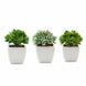3 Pack | 4inches Ceramic Planter Pot & Green Artificial Echeveria Plants#whtbkgd