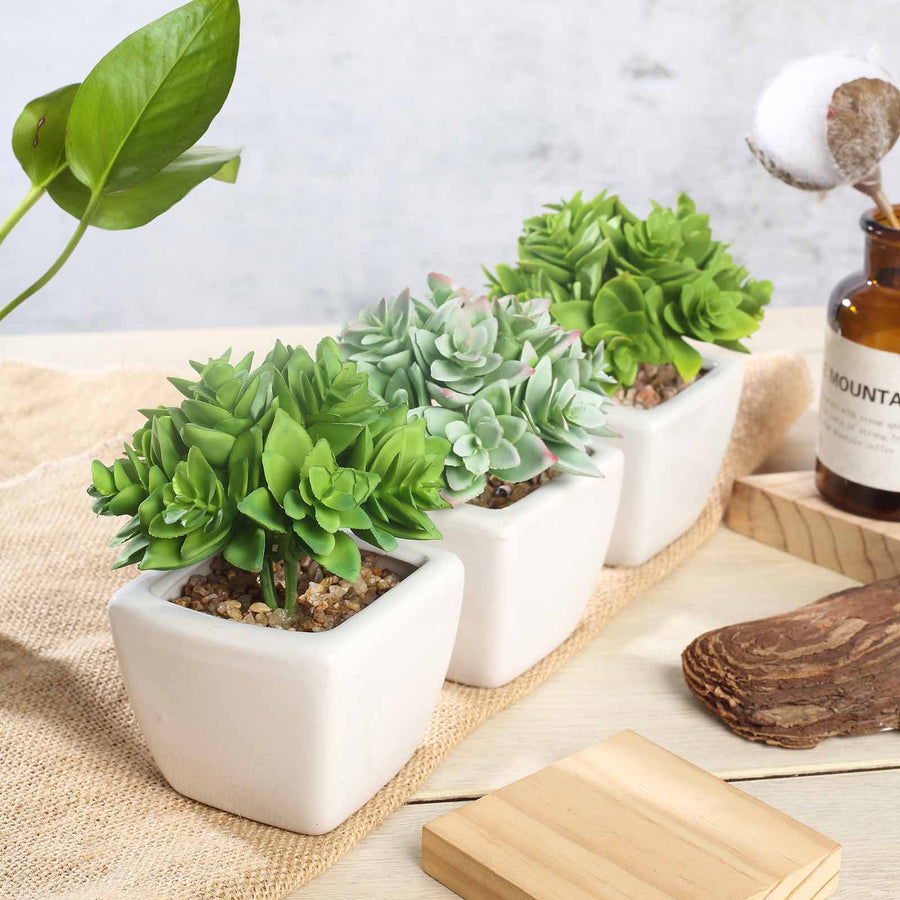 3 Pack | 4inches Ceramic Planter Pot & Green Artificial Echeveria Plants