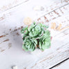 3 Pack | 5inches Ceramic Planter Pot & Artificial Echeveria Elegans Plants