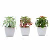 3 Pack | 5inches Ceramic Planter Pot & Artificial Elegans Succulent Plants#whtbkgd