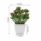 3 Pack | 7inches Ceramic Planter Pot & Artificial Stonecrop Succulent Plant