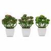 3 Pack | 7inches Ceramic Planter Pot & Artificial Stonecrop Succulent Plant#whtbkgd