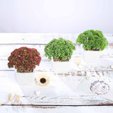 3 Pack | 6inches Ceramic Planter Pot & Artificial Joy Sedum Succulent Plant
