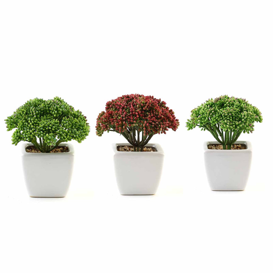 3 Pack | 6inches Ceramic Planter Pot & Artificial Joy Sedum Succulent Plant#whtbkgd