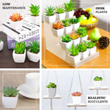 3 Pack | 5inches Ceramic Planter Pot & Artificial Cacti Succulent Plants