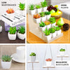 3 Pack | 5inches Ceramic Planter Pot & Artificial Elegans Succulent Plants