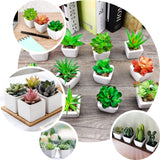 3 Pack | 3inches Ceramic Planter Pot & Artificial Mini Jade Succulent Plant