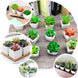 3 Pack | 4inches Ceramic Planter Pot & Artificial Echeveria Elegans Plants