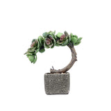 8inches Concrete Planter Pot, Artificial Perle Von Nurnberg Succulent Plant#whtbkgd