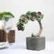8inches Concrete Planter Pot, Artificial Perle Von Nurnberg Succulent Plant