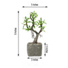 9inches Concrete Planter Pot & Artificial Willow Tree Succulent Plant