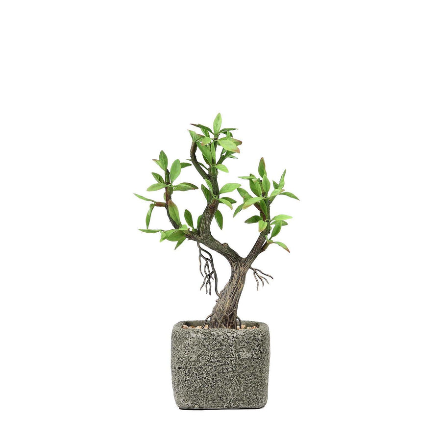9inches Concrete Planter Pot & Artificial Willow Tree Succulent Plant
