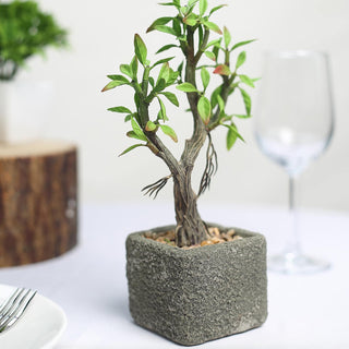 9" Concrete Planter Pot and Artificial Willow Tree Succulent Plant - Rustic Charm
